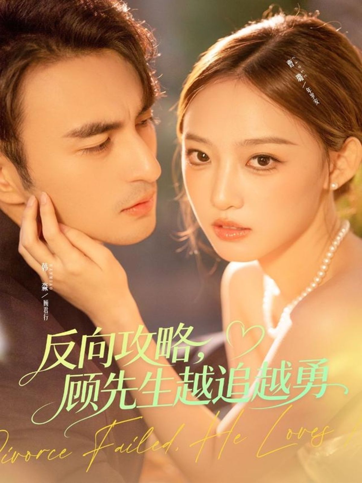 反向攻略，顾先生越追越勇海报