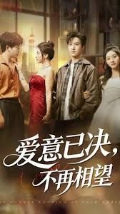 爱意已决不再相望海报