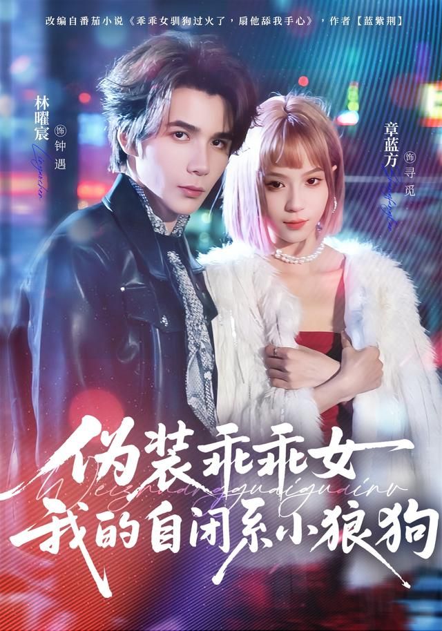 伪装乖乖女我的自闭系小狼狗海报