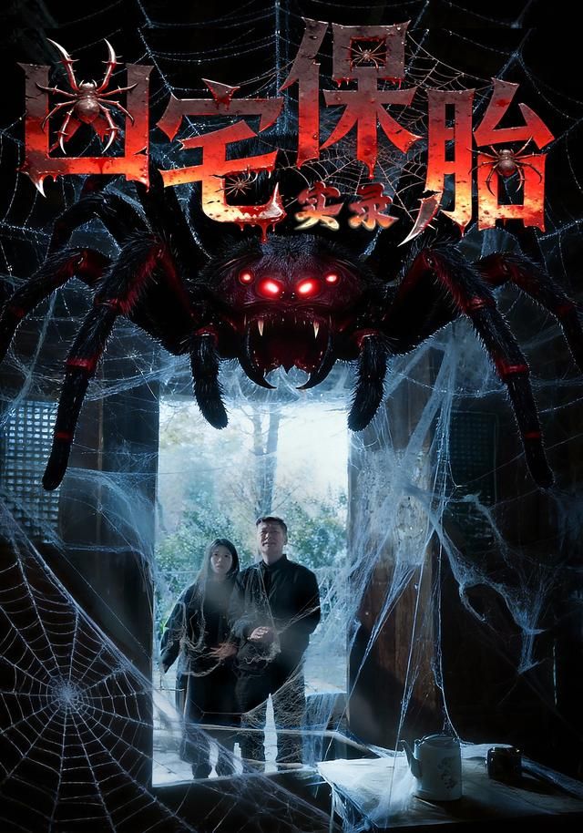 凶宅保胎实录海报