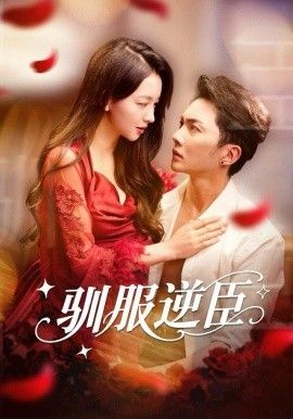驯服逆臣海报
