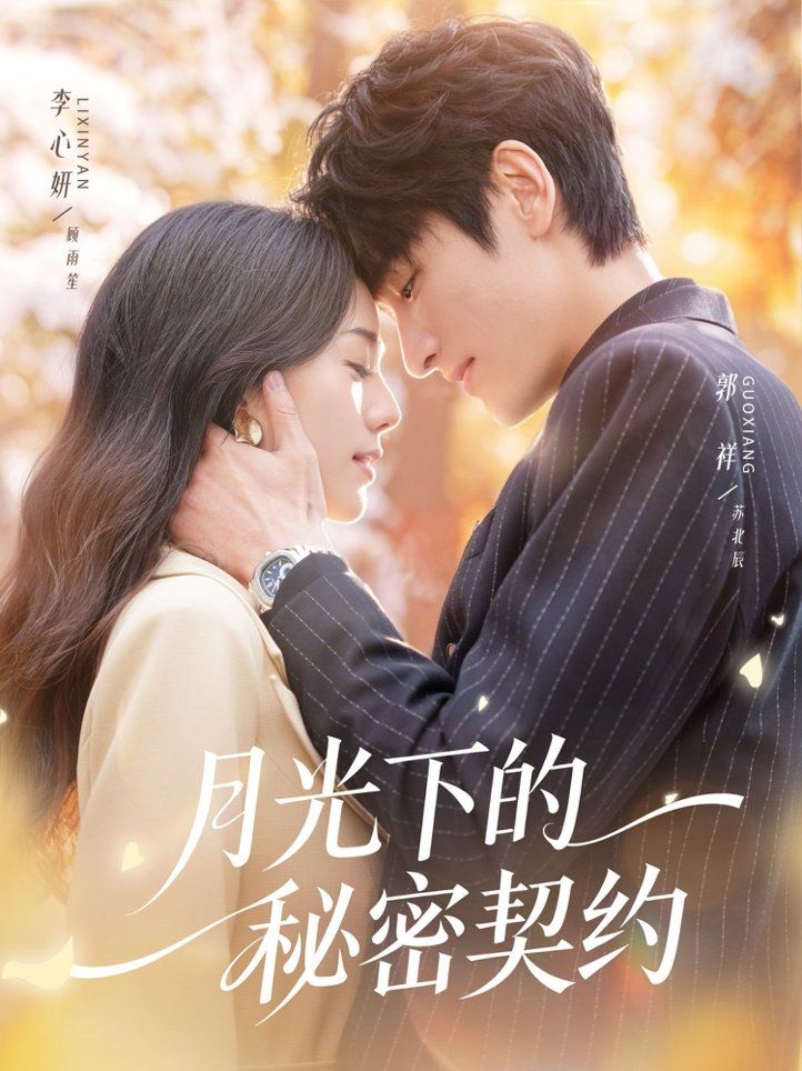 月光下的秘密契约海报