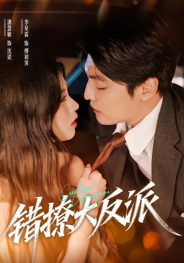 错撩大反派海报