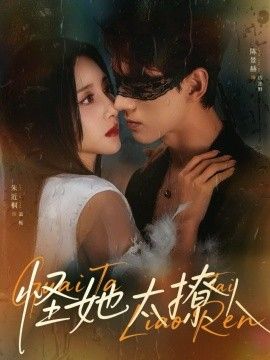 怪她太撩人海报