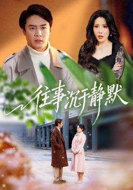 往事沉于静默海报