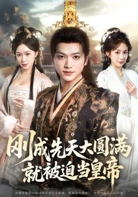 刚成先天大圆满，就被迫当皇帝海报