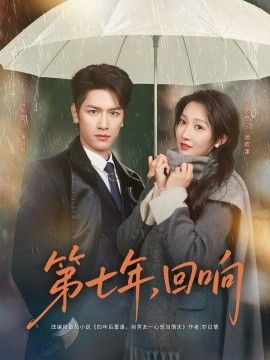 第七年回响海报