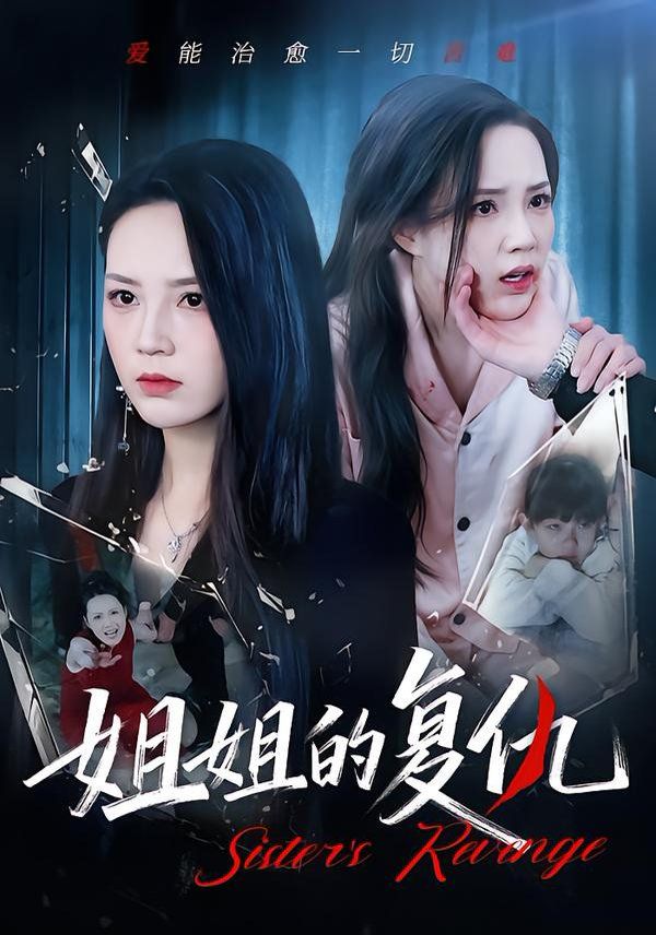 姐姐的复仇海报