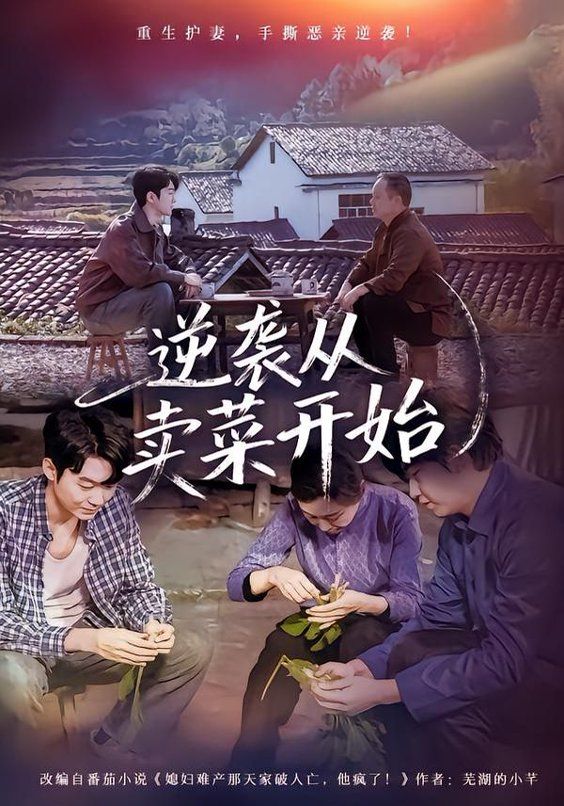 逆袭从卖菜开始海报