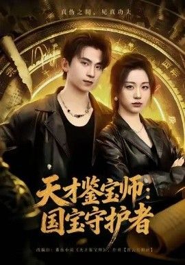 天才鉴宝师：国宝守护者海报