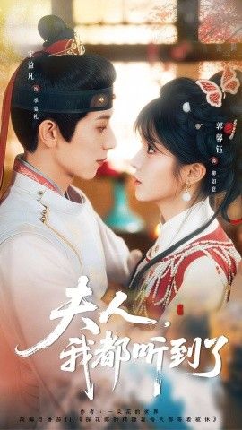 夫人，我都听到了，夫人每天都想被休海报