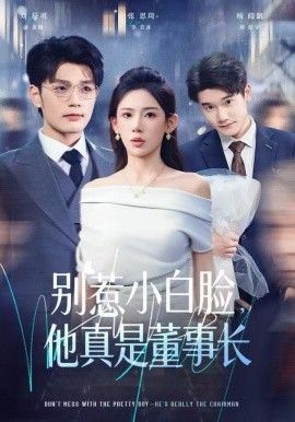 别惹小白脸，他真是董事长海报