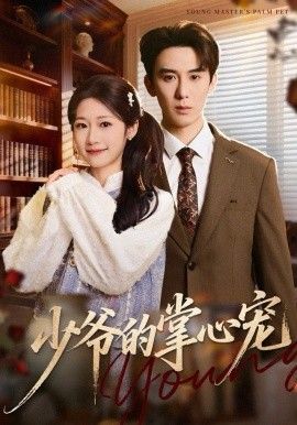 少爷的掌心宠海报