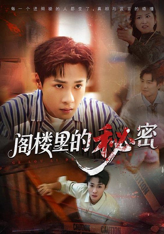 阁楼里的秘密海报