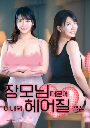 丈母娘，让婚姻走到尽头海报