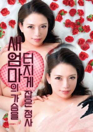 继母的秘密情欲海报