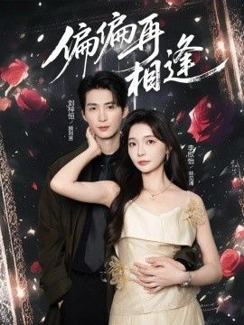 偏偏再相逢海报