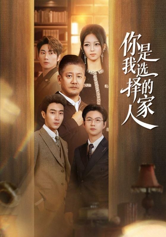 你是我选择的家人海报