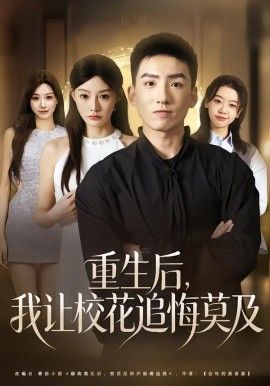 重生后，我让校花追悔莫及海报