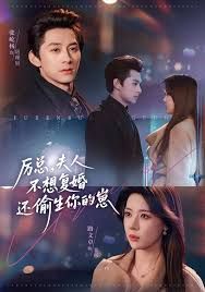 厉总，夫人不想复婚还偷生你的崽海报