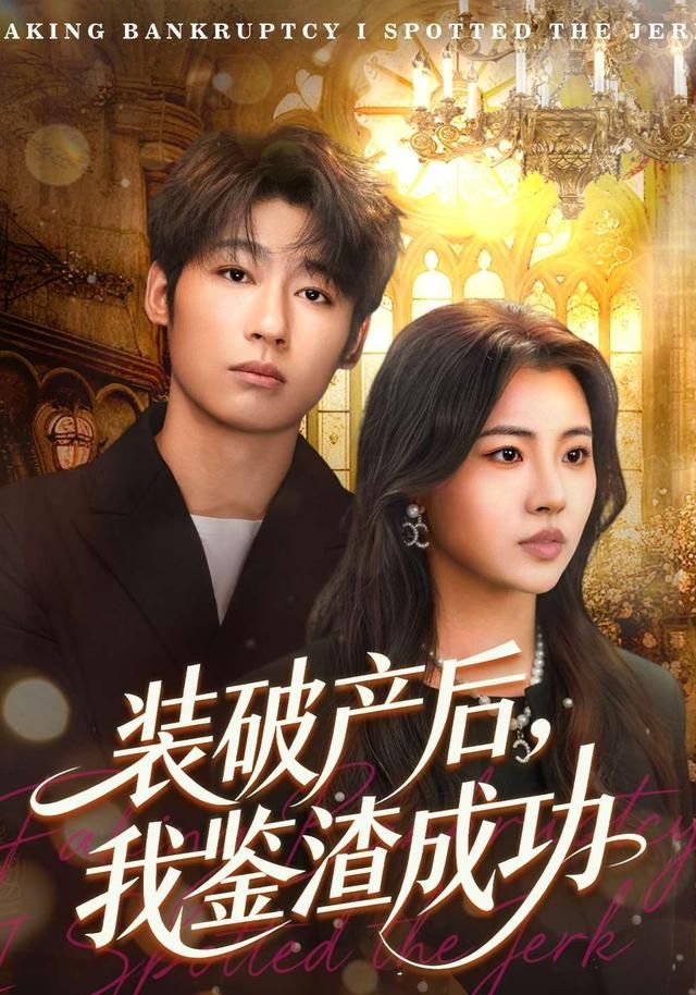 破产后，我鉴渣成功海报
