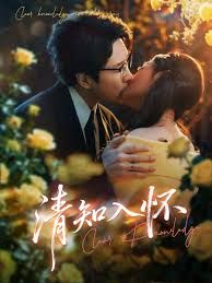 清知入怀海报
