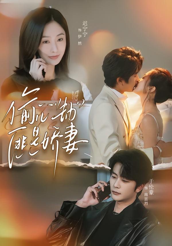 偷心劫匪是娇妻（偷“心”劫匪是娇妻）海报