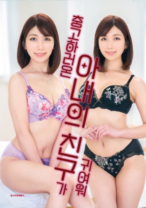 前来劝说的妻子闺蜜很可爱海报