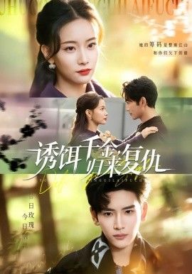 诱饵千金，归来复仇海报
