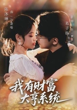 我有财富大亨系统海报