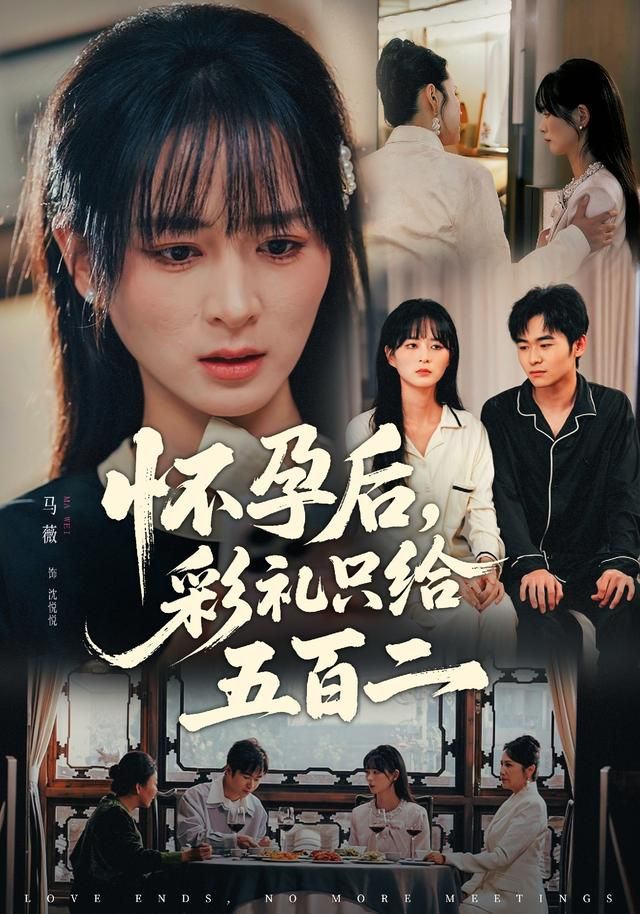 怀孕后，彩礼只给五百二海报