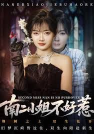 南二小姐不好惹海报