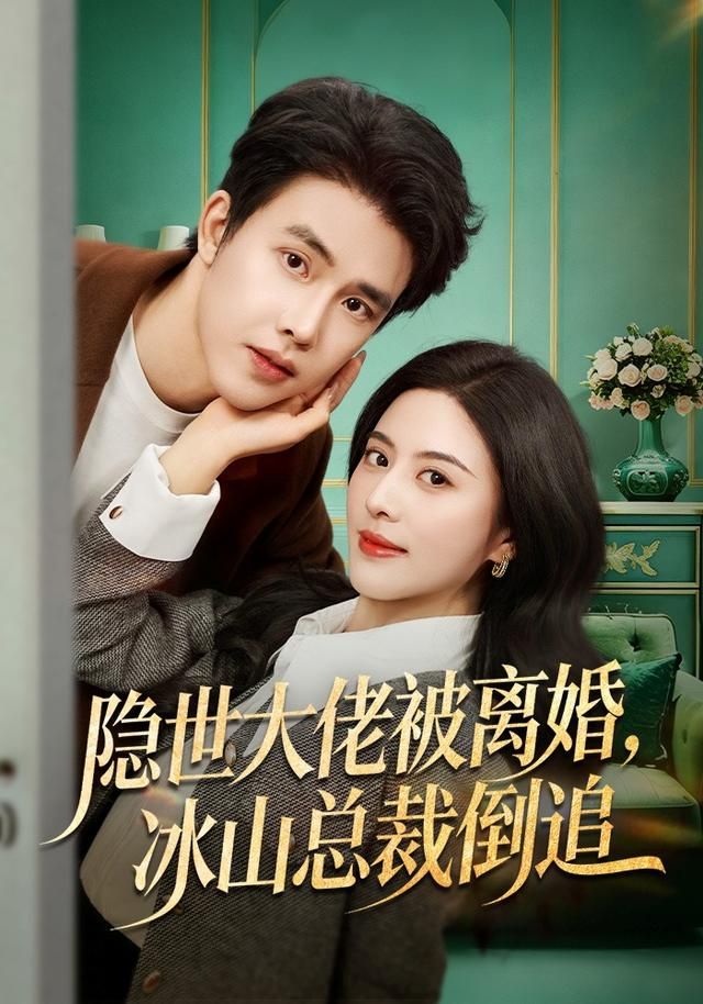 隐世大佬被离婚，冰山总裁倒追海报