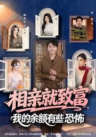 相亲就致富，我的余额有些恐怖海报