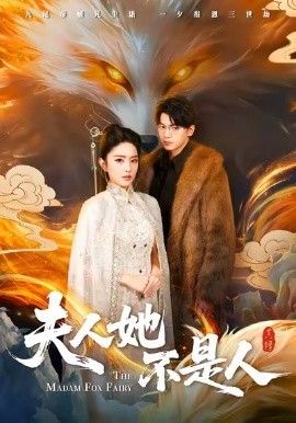 夫人她不是人海报