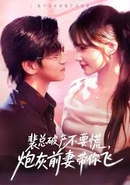 裴总破产不要慌，炮灰前妻带你飞海报