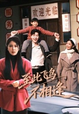 至此飞鸟不相逢海报