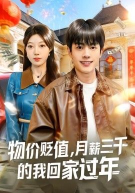 物价贬值，月薪三千的我回家过年海报