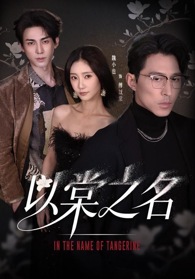 以棠之名海报