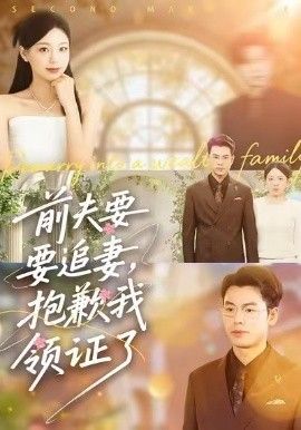 前夫要追妻，抱歉我领证了海报