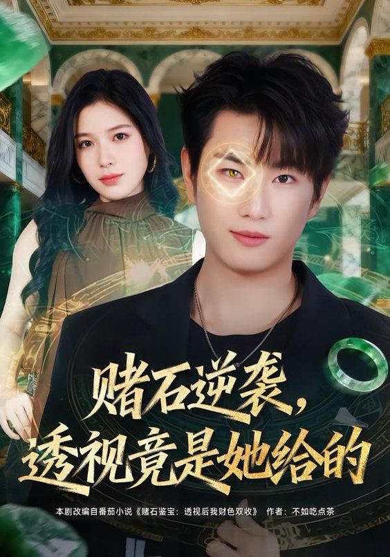 赌石逆袭，透视竟是她给的海报