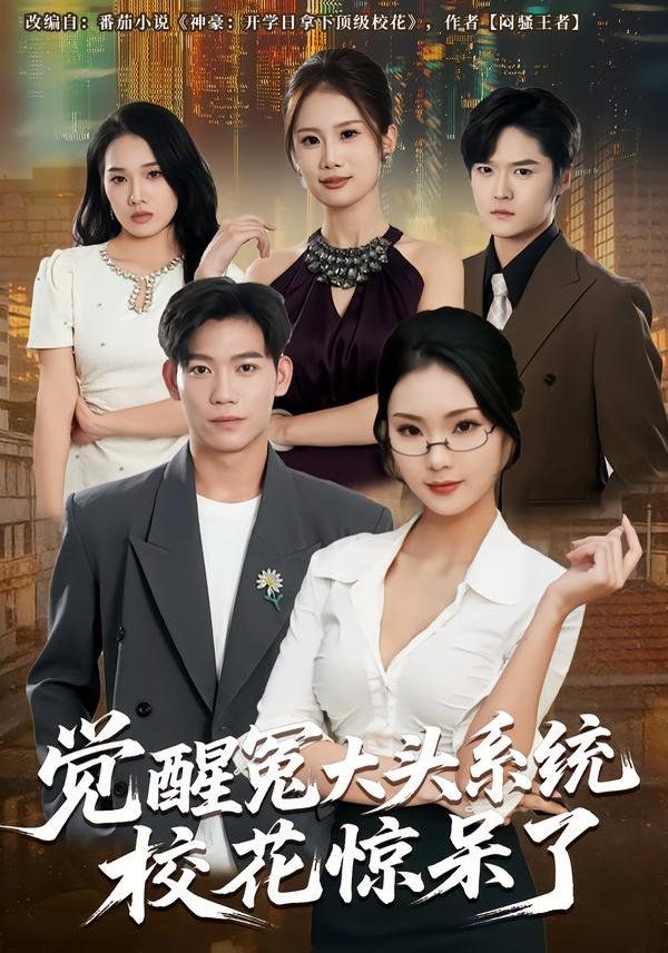 觉醒冤大头系统校花惊呆了海报