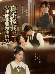 真不怪我，少帅他非要为我挡刀海报