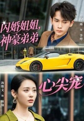 闪婚姐姐，神豪弟弟心尖宠海报