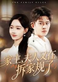 家主,夫人又在拆家规了海报