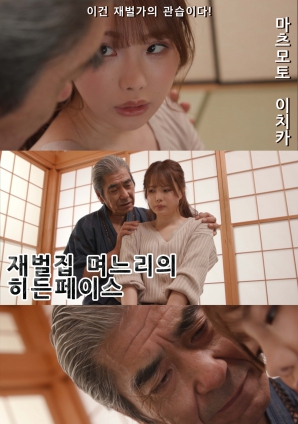 财阀家儿媳的隐秘面孔海报