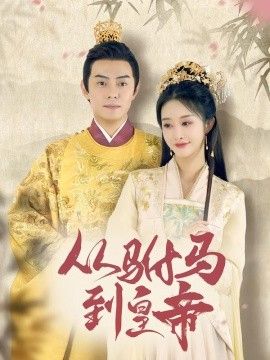 驸马凶猛（我做驸马那些年）（从驸马到皇帝）（天上掉下个驸马爷）海报