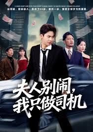 夫人别闹我只做司机海报