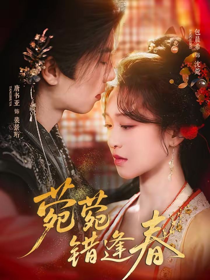 菀菀错逢春海报