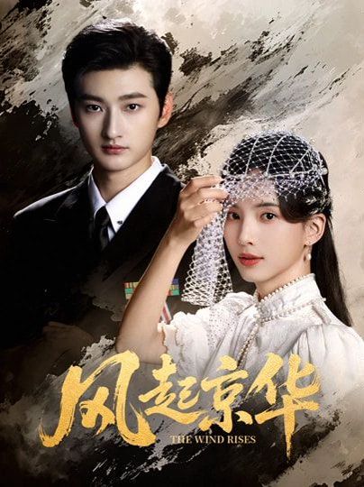 风起京华海报
